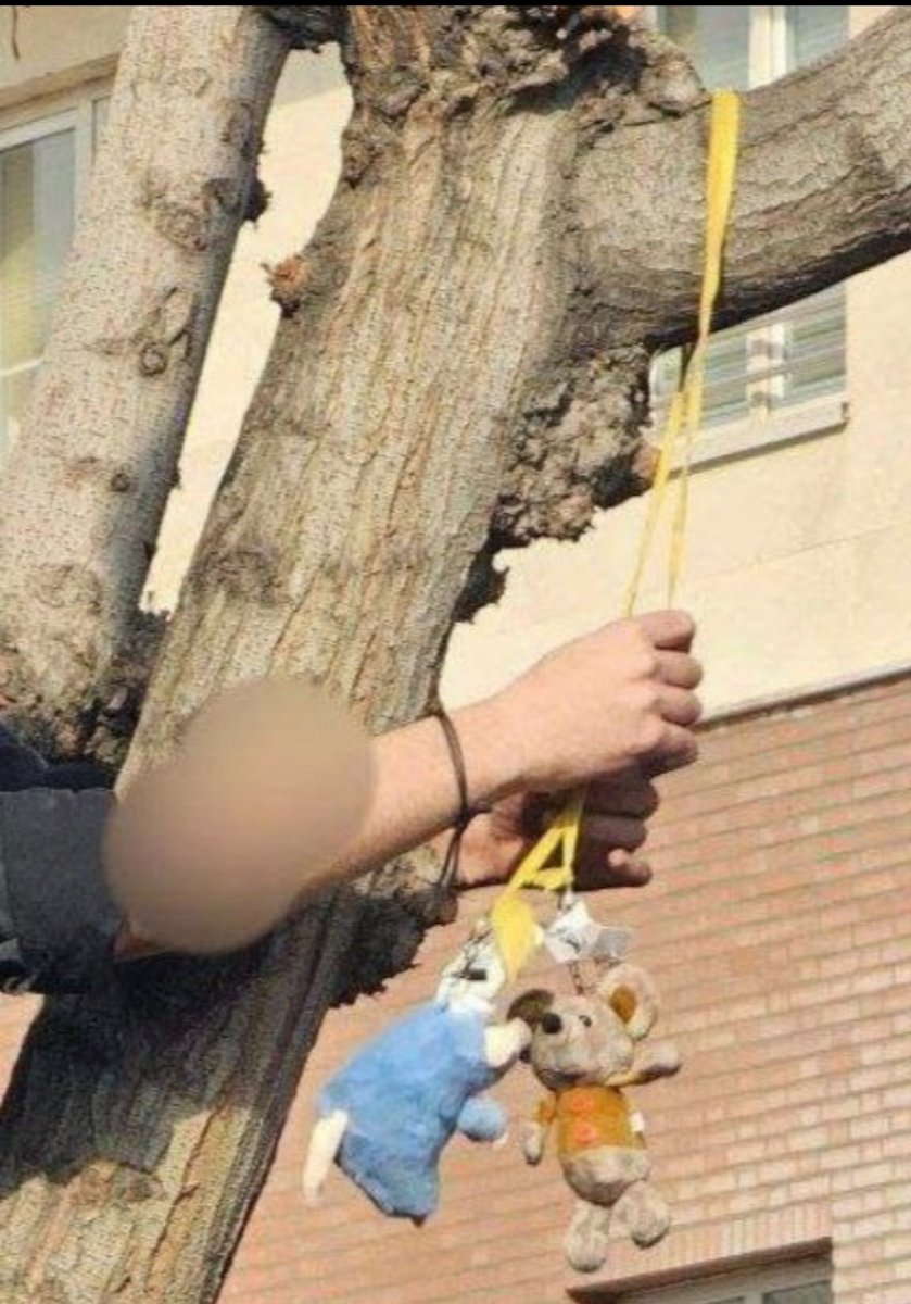 جدا تو دانشگاه شریف دانشجوها موش از درخت آویزون کردند. :))