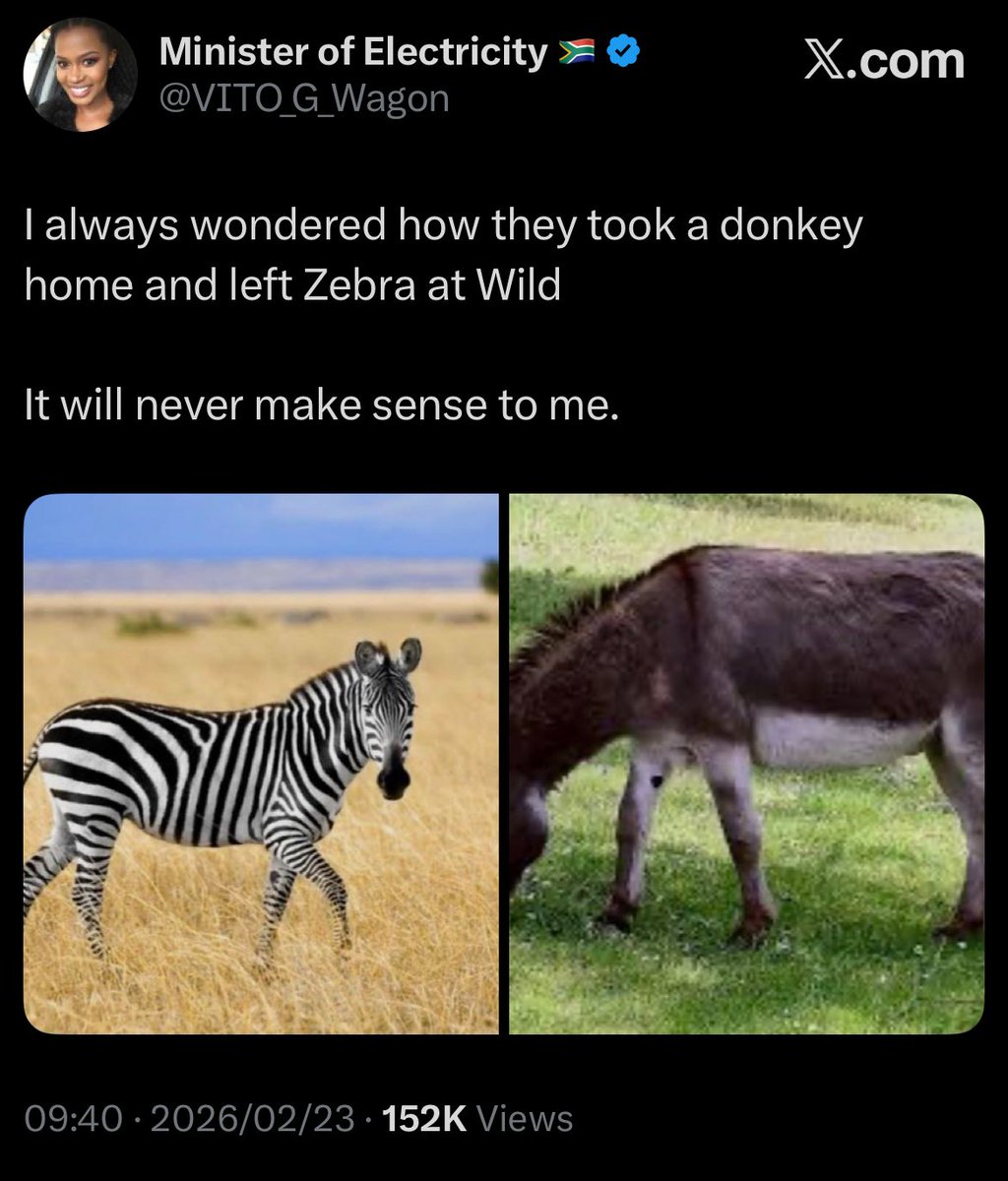 Miss Ziprusha tweet media