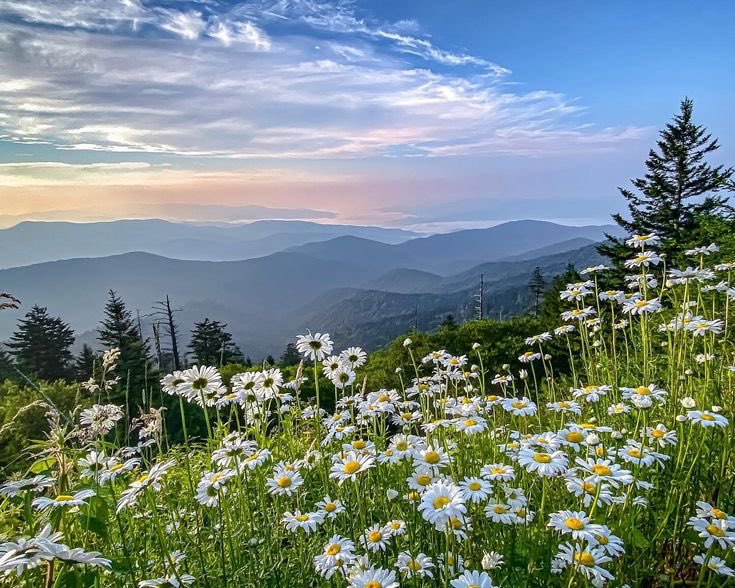 soomified's tweet image. LET GO AND LET GOD.