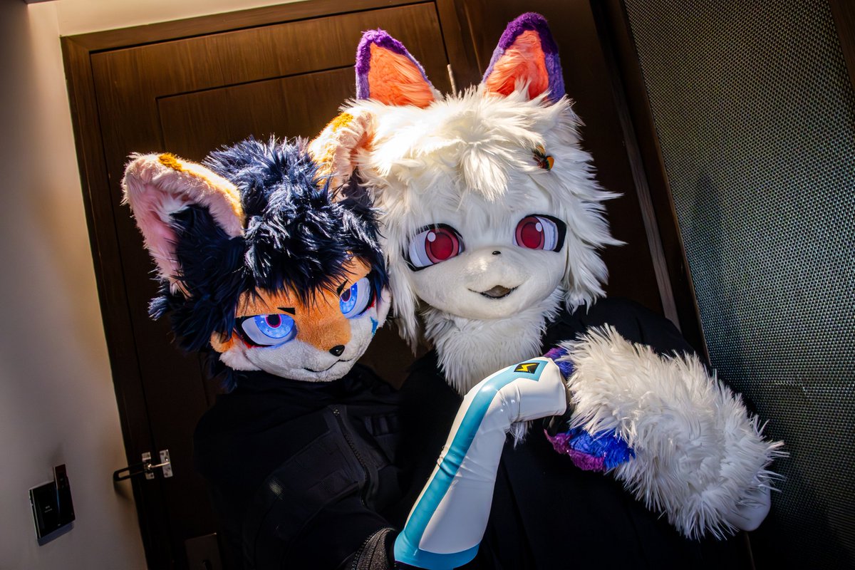 Rabbit Momo tweet media
