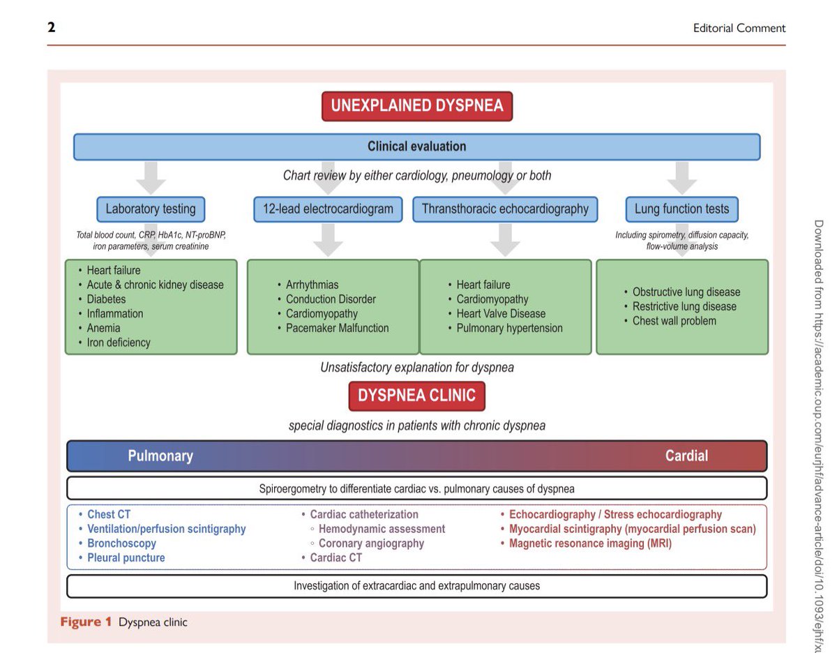 EJHF Editor-in-Chief tweet media