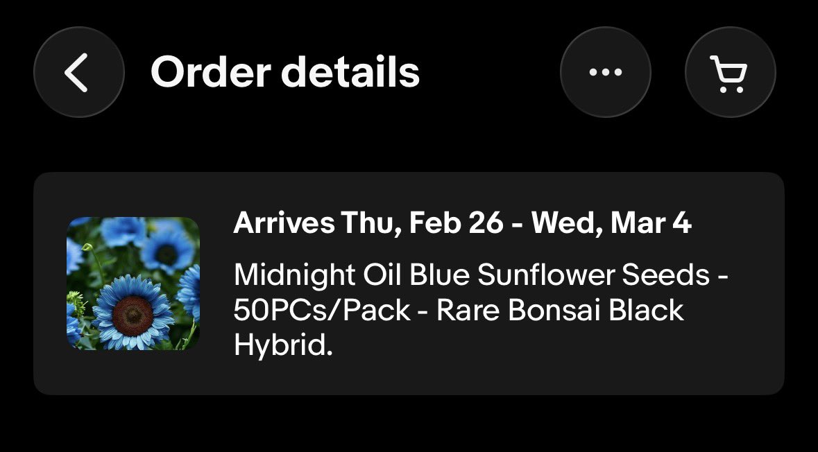 ᴇᴅᴅɪᴇ 🌻 tweet media