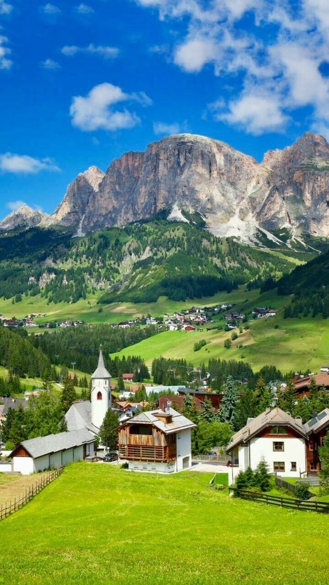 WonderwithWorld tweet media