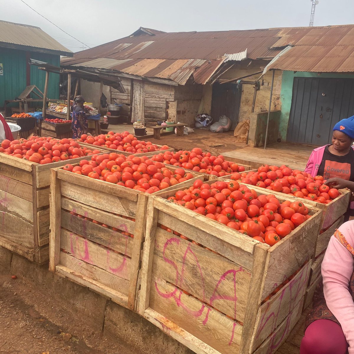 E-extensionist tweet media