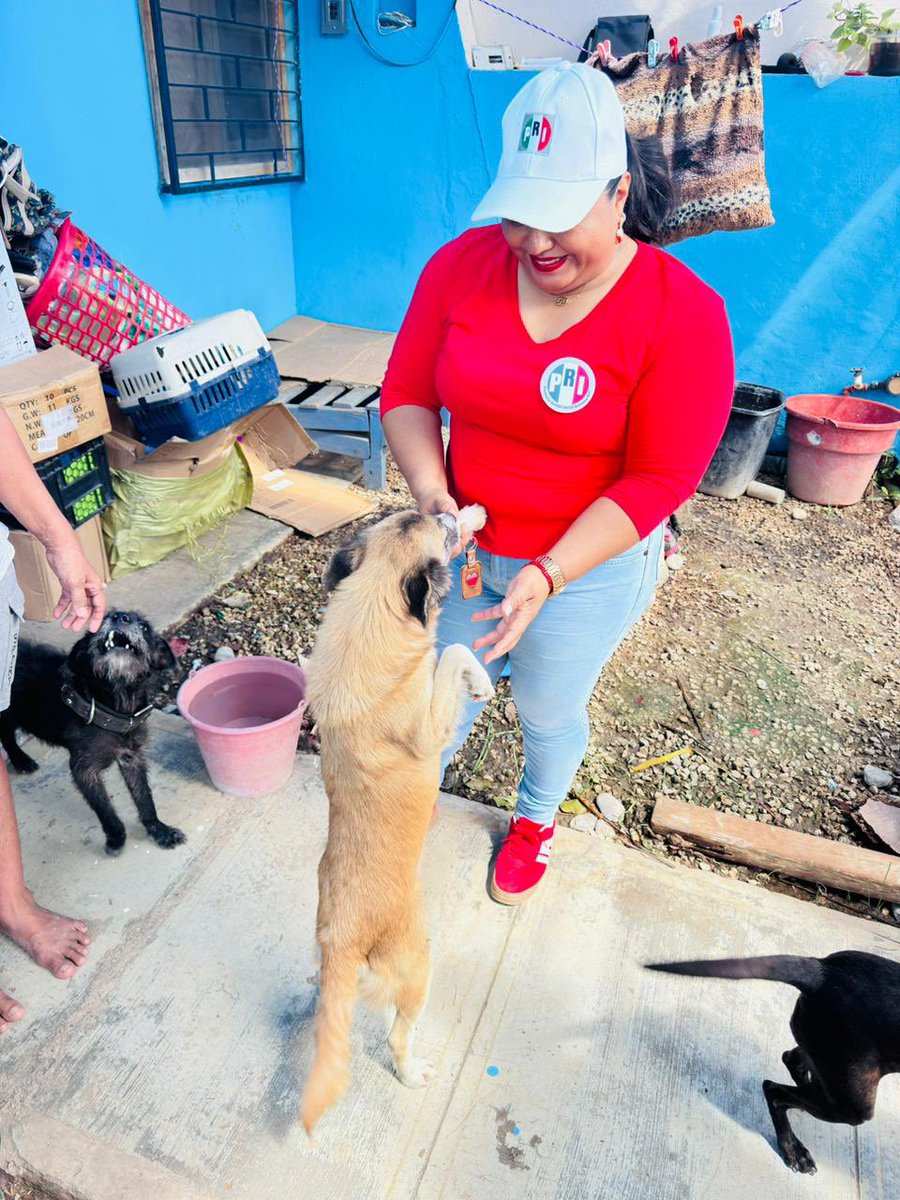 CDE-PRI Quintana Roo tweet media