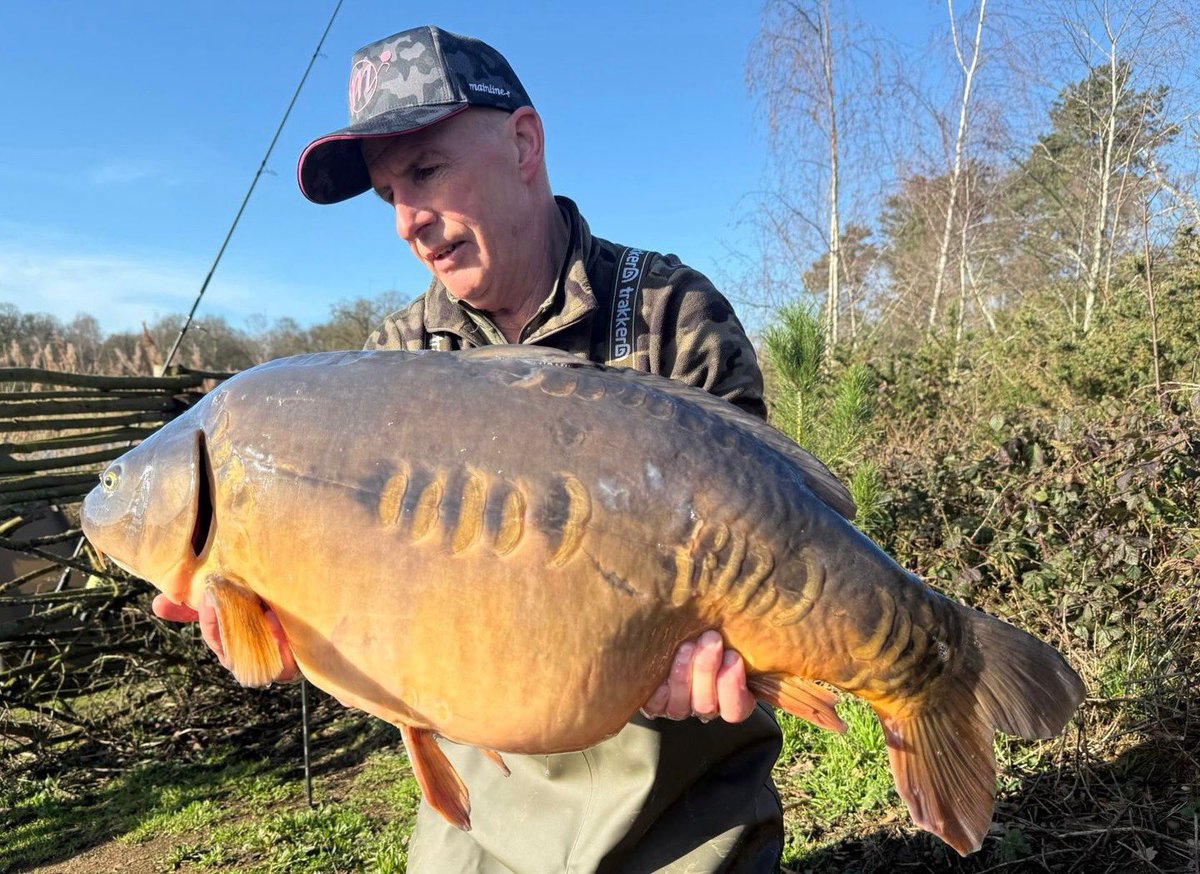 Mainline Baits Official tweet media