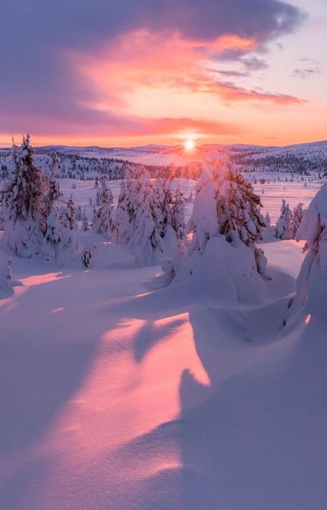 どんなの本ですか？ ✌️