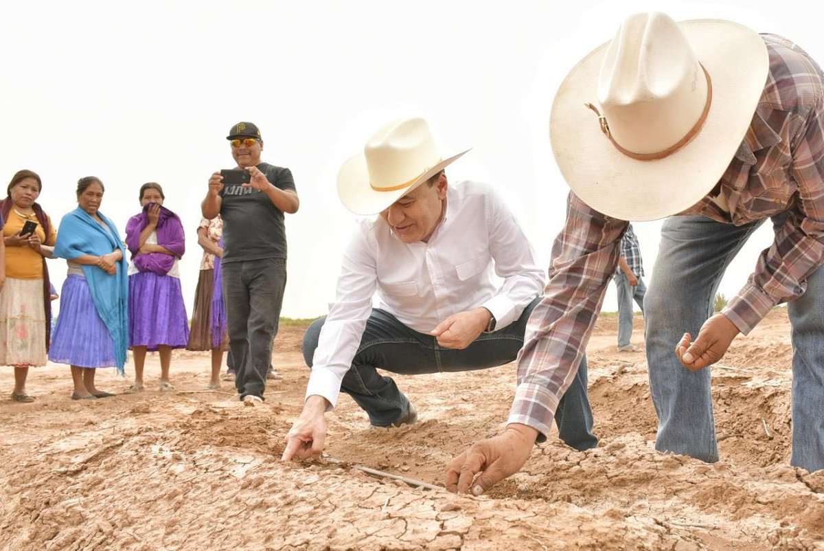 Alfonso Durazo tweet media