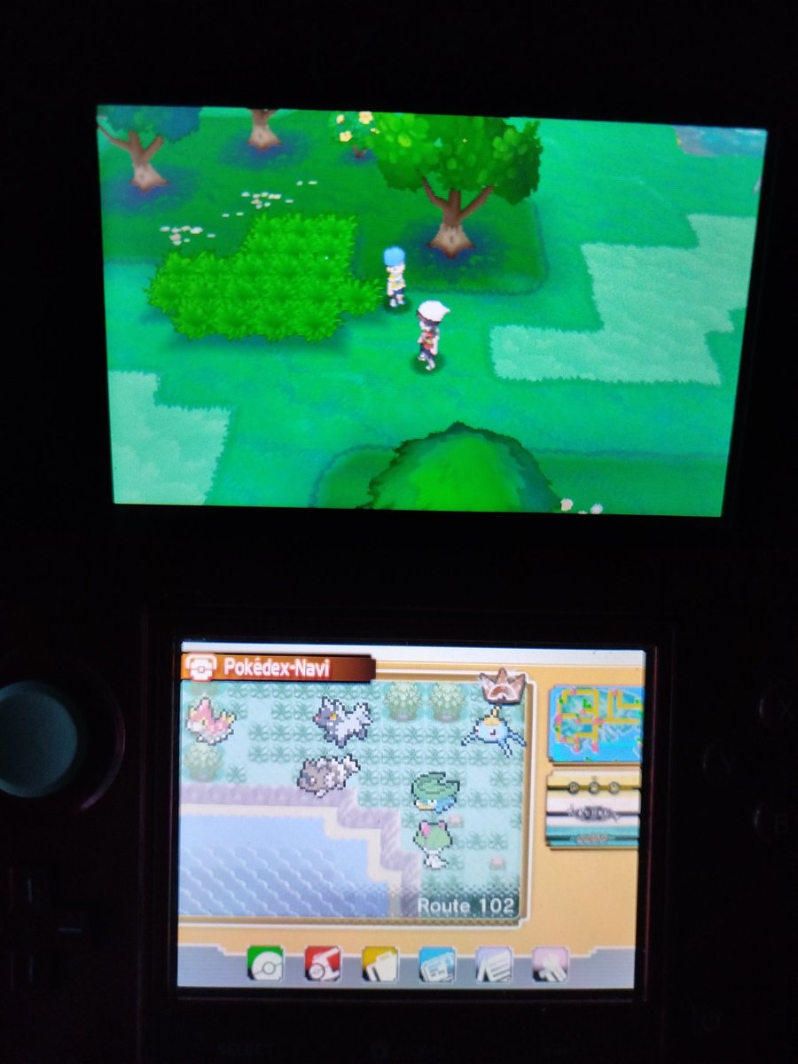 Lord Paddy tweet media