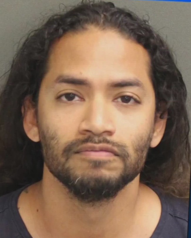 anne schindler tweet media