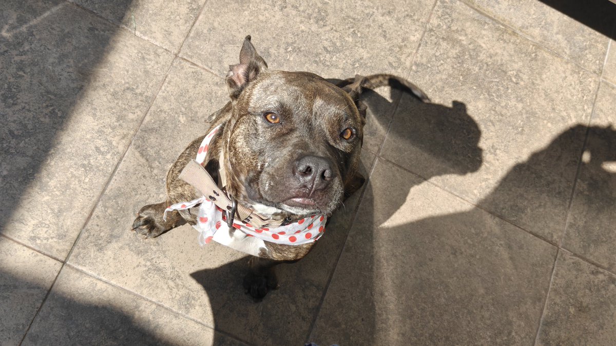 Reiimuru 🪐💫 tweet media