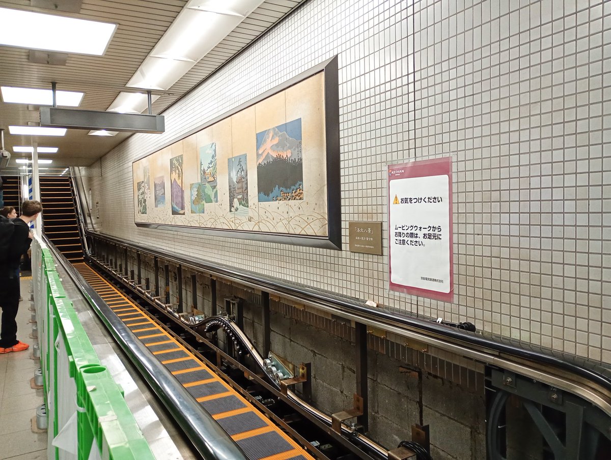 鶏肉ちきんちゃん💚 (@wombat_echizen) / Posts / X