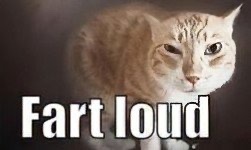 john fart tweet media