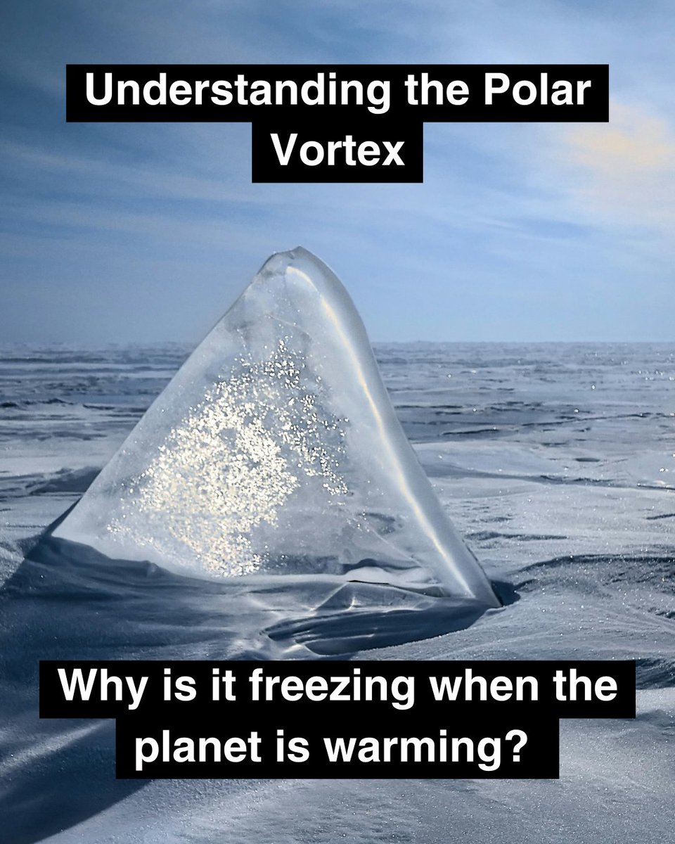 Earth Hero tweet media