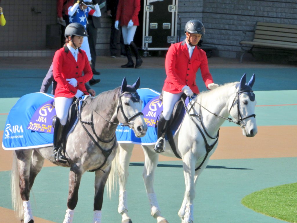 土曜日フリージア賞の誘導馬ちゃんたち #ミライヘノツバサ #サクセス