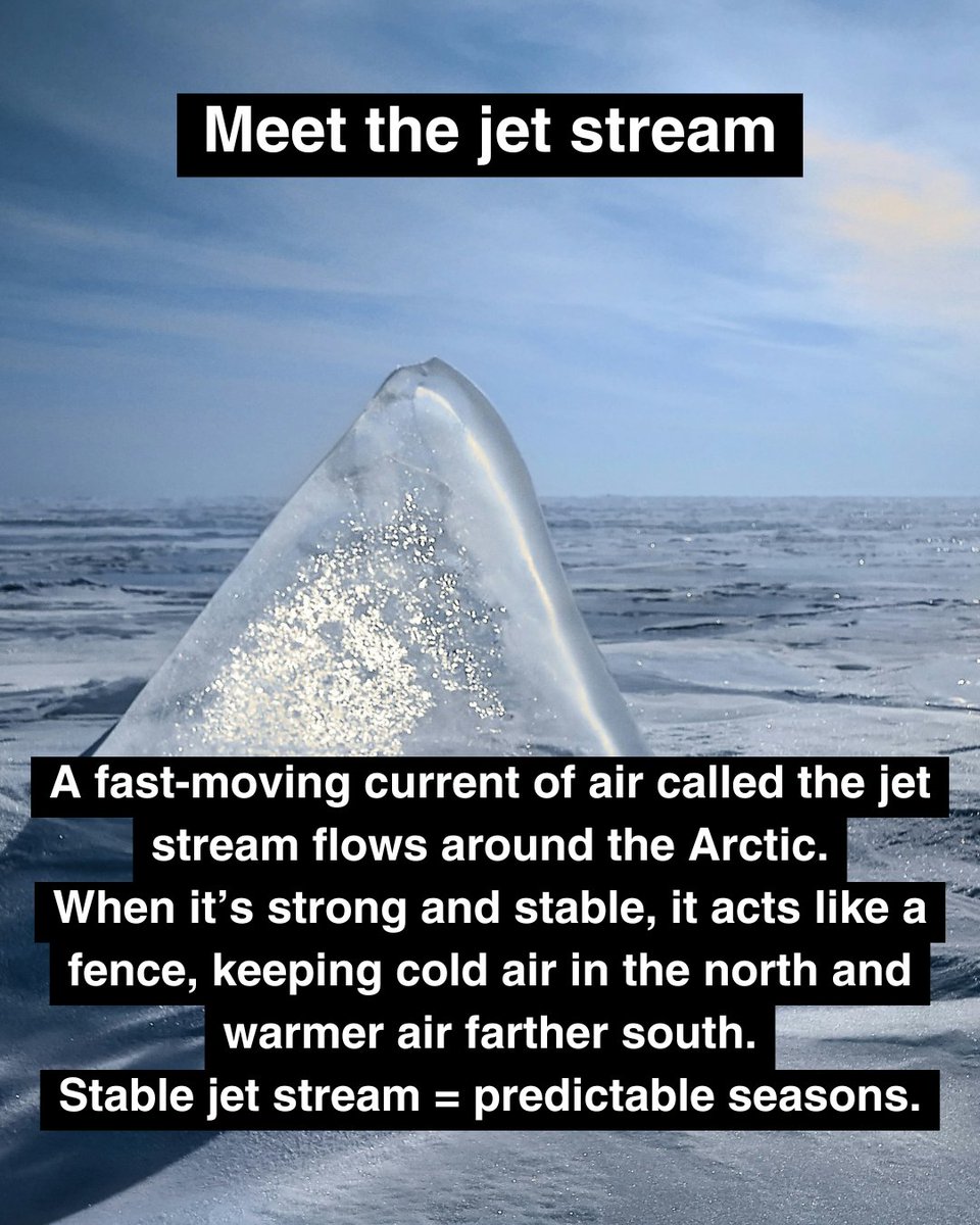 Earth Hero tweet media