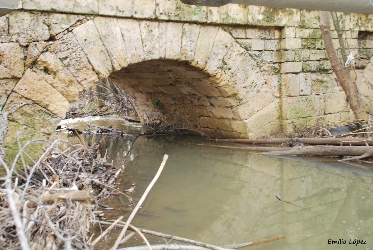 El otro, del otro, del otro está lleno de jaramagos. flic.kr/p/2qTrWwv