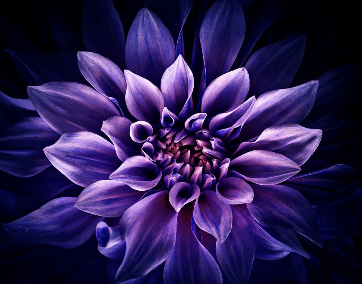 Stephanie Alexandra tweet media