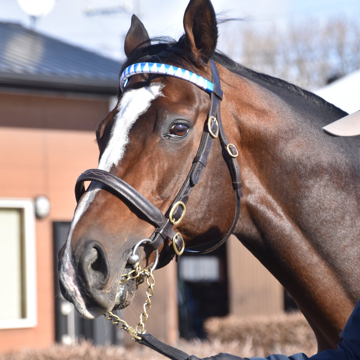 ちひろ (@chihiro_gs) / Posts / X