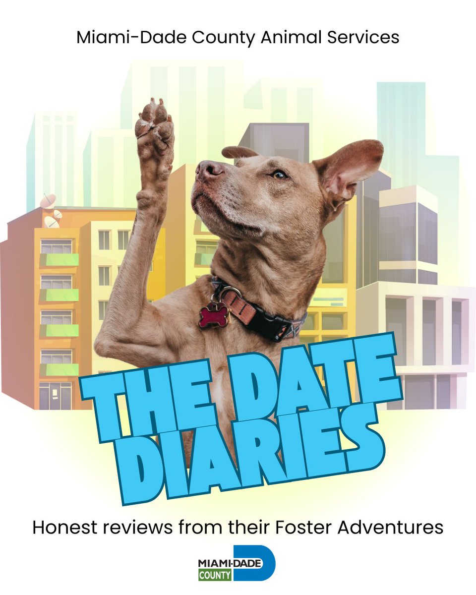 Miami-Dade County Animal Services tweet media