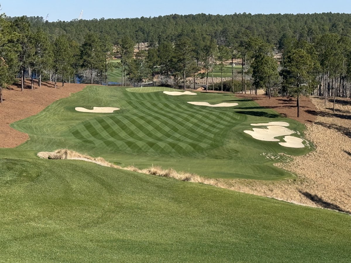 Doug Martin tweet media