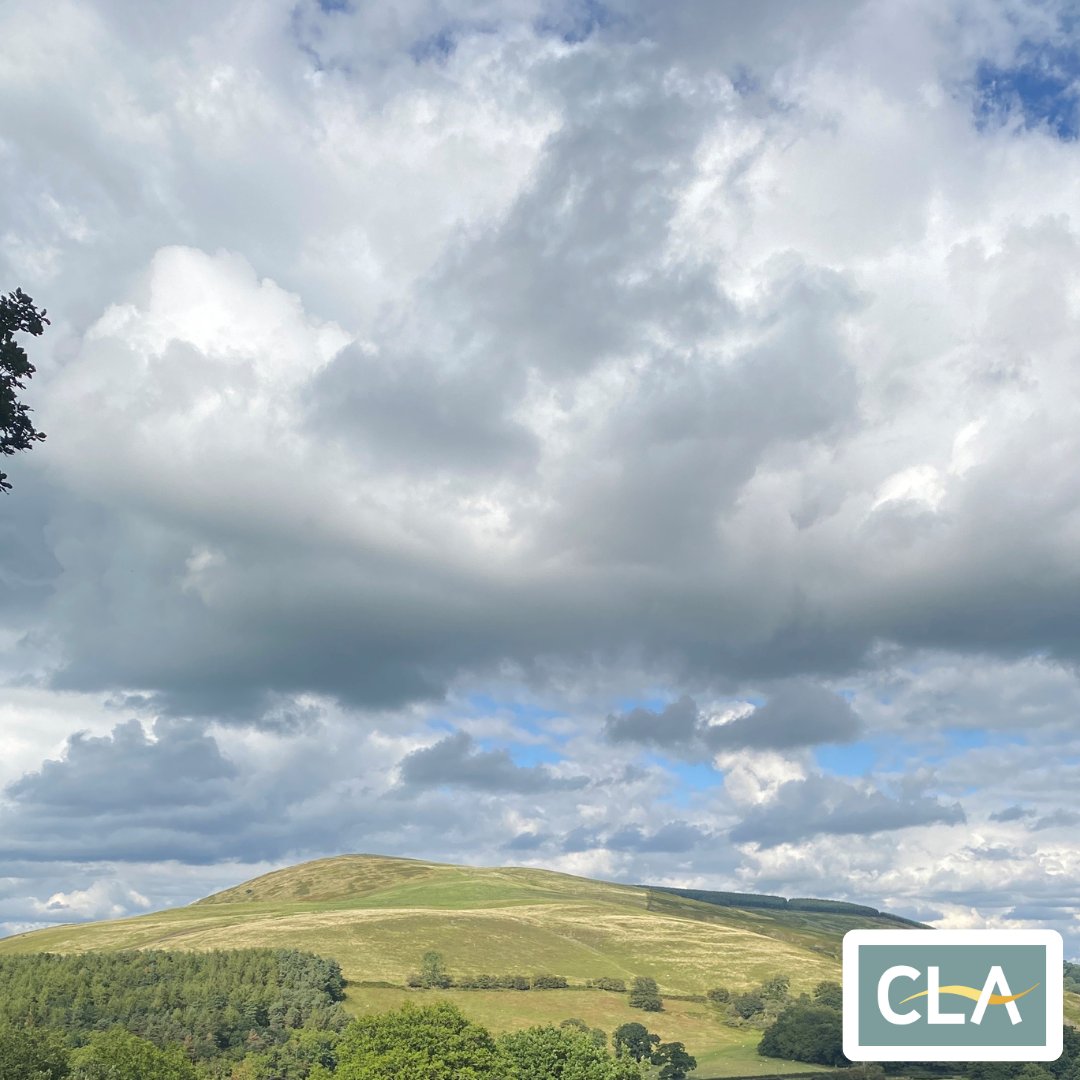 CLA Midlands tweet media