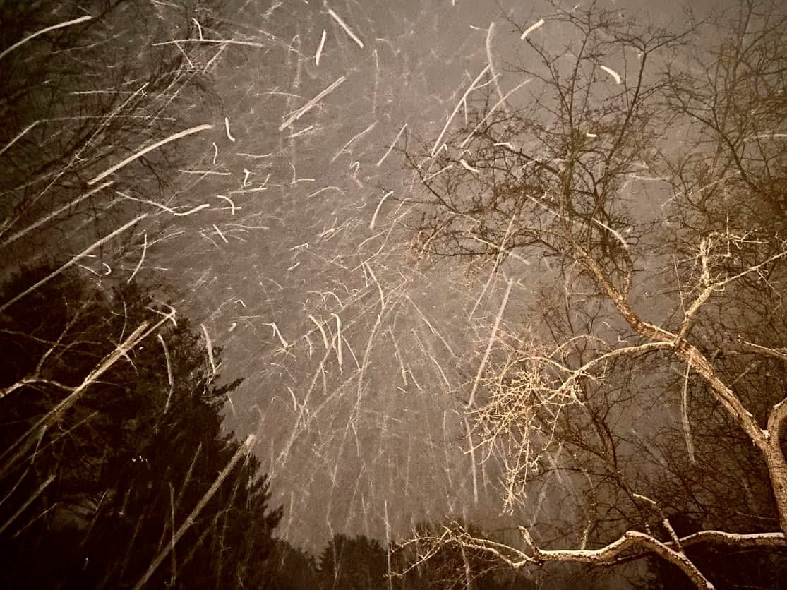 BryanMarquard's tweet image. Falling snow outside our front door, three years ago last evening. I'll head out for an afternoon walk soon to seek something similarly artsy from today's storm. Wish me luck. #winterstorm #snow