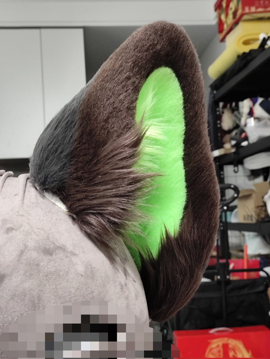 请对我说鸽子语 tweet media