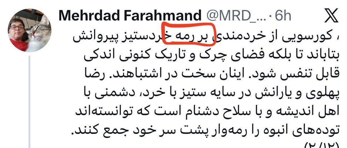 ناقشتاین tweet media