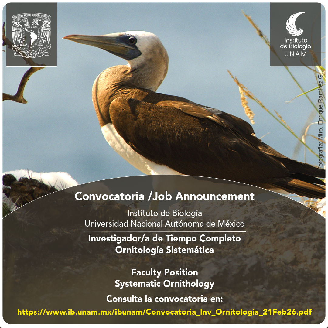 @ib_unam tweet media