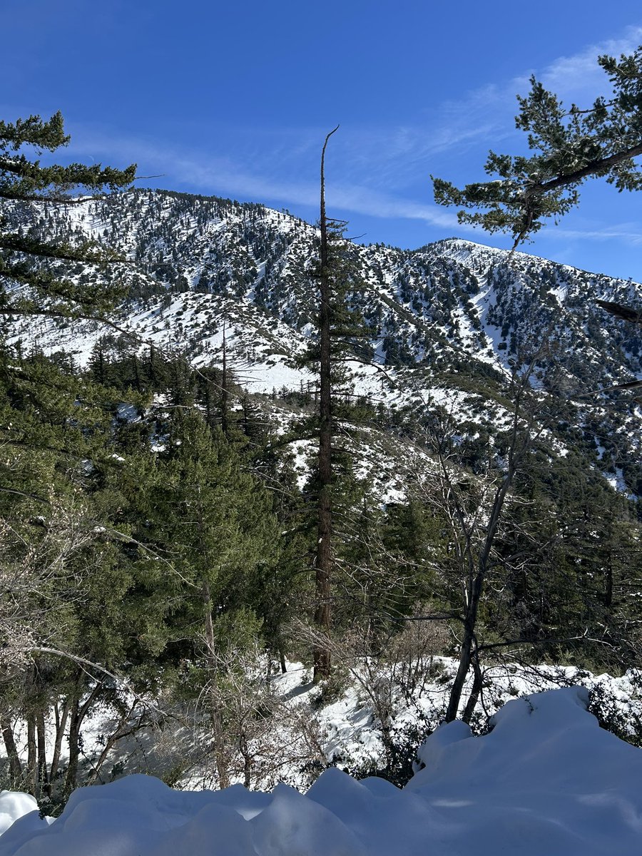 Bruno 🔜 FC tweet media