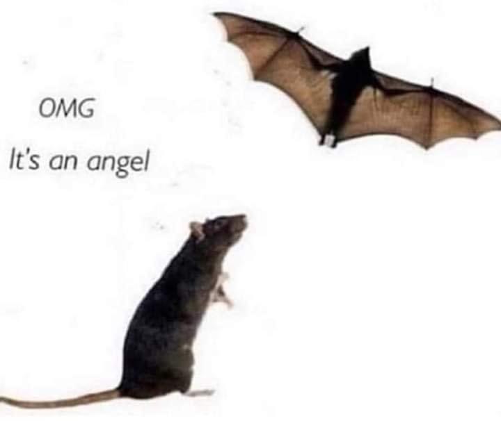 The Thinking Atheist tweet media