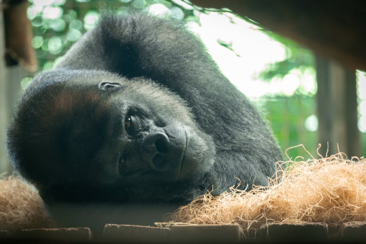 Visit Wichita tweet media