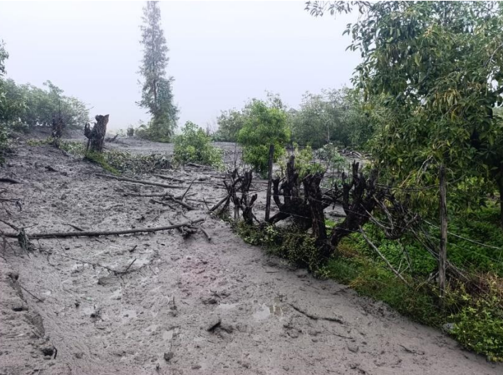 COENPeru's tweet photo. Personal de la Municipalidad Distrital de #Quinistaquillas (Moquegua) gestiona con la agencia agraria provincial la atención de la emergencia (daños a la producción agrícola), tras registrarse un #Lahar (flujo de lodo volcánico) en la quebrada El Volcán, el 22/2. Asimismo, organiza una brigada con la finalidad de recopilar información detallada sobre los hechos que, preliminarmente, reporta carretera y canal de riego afectado y destruido, así como daños en bocatomas, cultivos y servicios básicos. Tránsito en la vía departamental MO 100, tramo Quinistaquillas – Yaragua - Yojo se encuentra interrumpido, así como el servicio de telefonía.