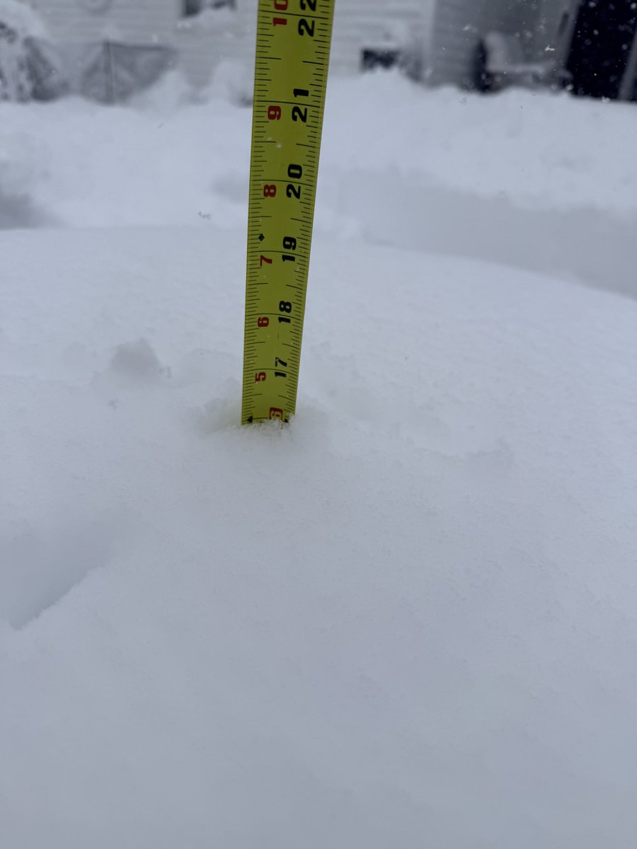 Jeff Force tweet media