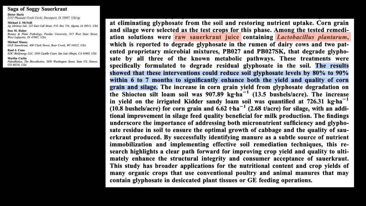 GOOD NEWS - we can remove glyphosate resides from the soil by 80-90% in 6-7 months using SAUERKRAUT JUICE microbes!!
Watch the full talk here: youtube.com/watch?v=Xb4W5P…