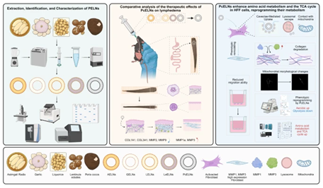 Extracellular Matrix News tweet media