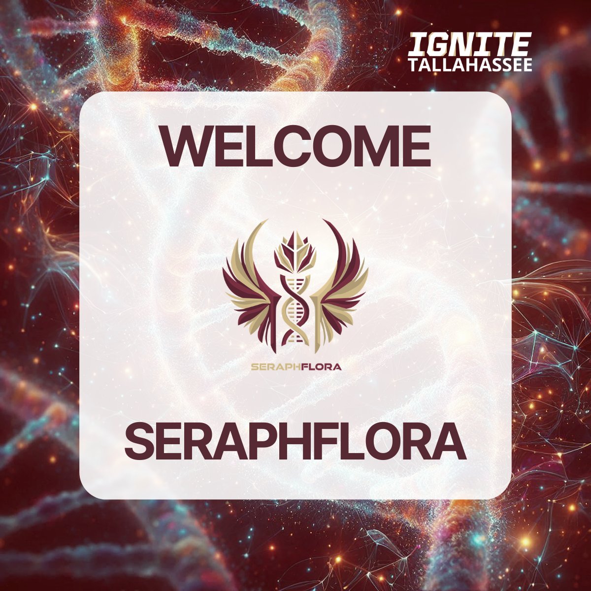 IGNITE FSU tweet media