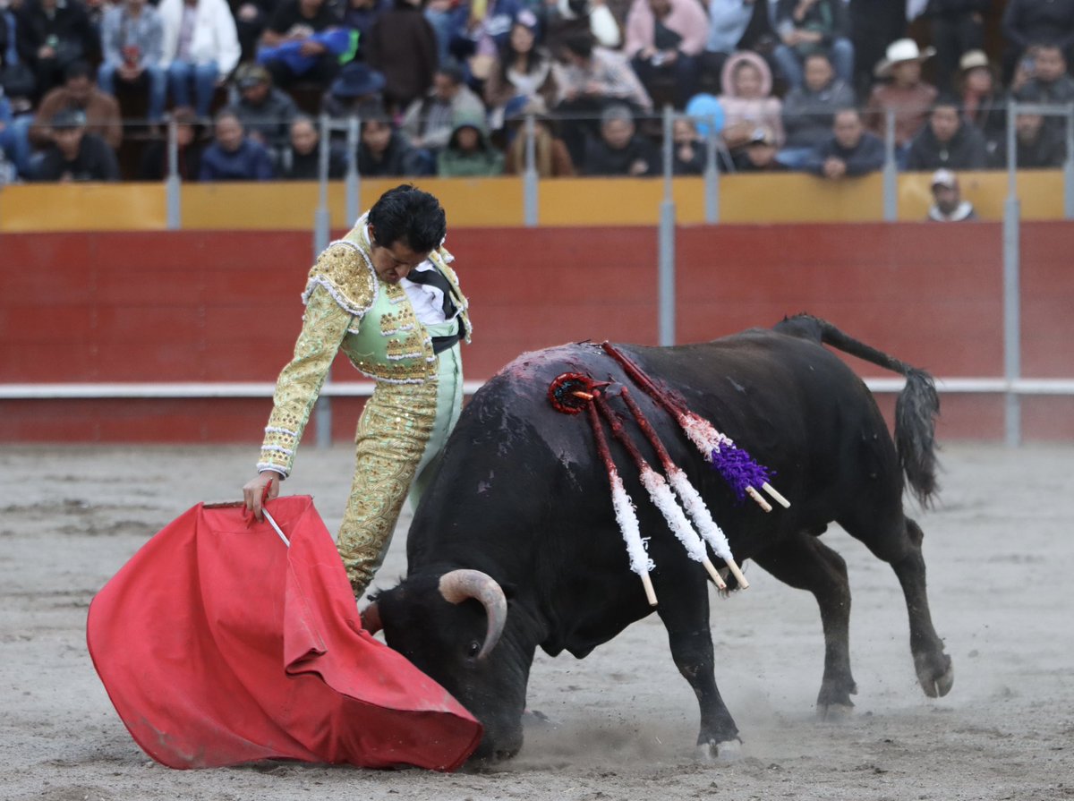 Joaquin Angelino de Arriaga tweet media