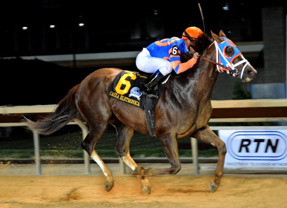 Remembering the gritty Caixa Eletronica, who would have been 21 today. 🤍