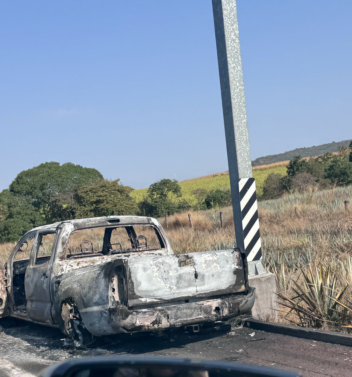 Ale_Glez tweet media