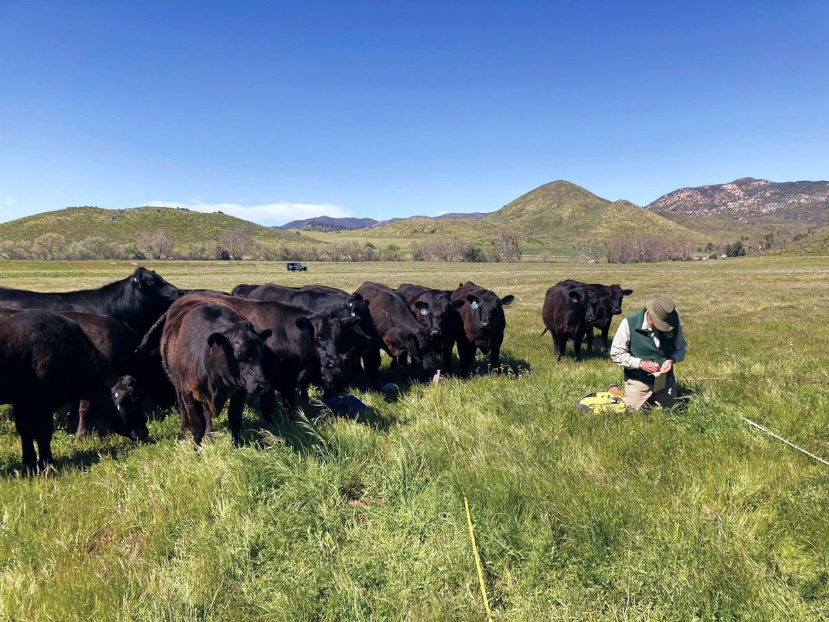 Berkeley Rausser College of Natural Resources tweet media