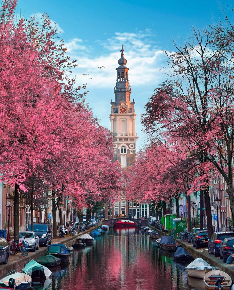 TravelBucketX's tweet photo. 📍Amsterdam, Netherlands 🇳🇱 https://t.co/1qbaczNNyQ