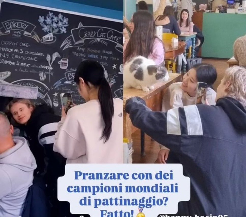 he don't play when it comes to cats