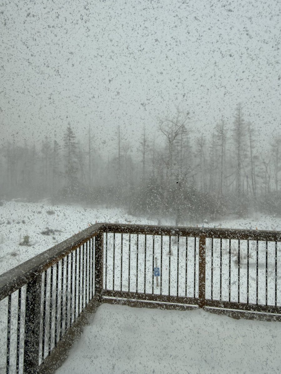 Rob Lambert tweet media