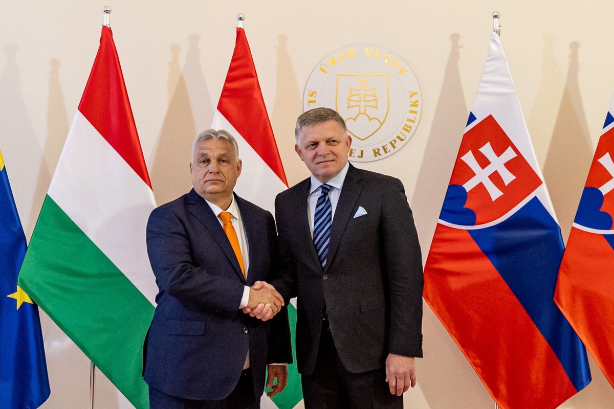 I’ve never understood the EU. Hungary and Slovakia systematically undermine the EU’s security and block the adoption of critically important decisions. 

Why not expel them from the EU and admit Ukraine instead, which would bring far more benefits to Europe?