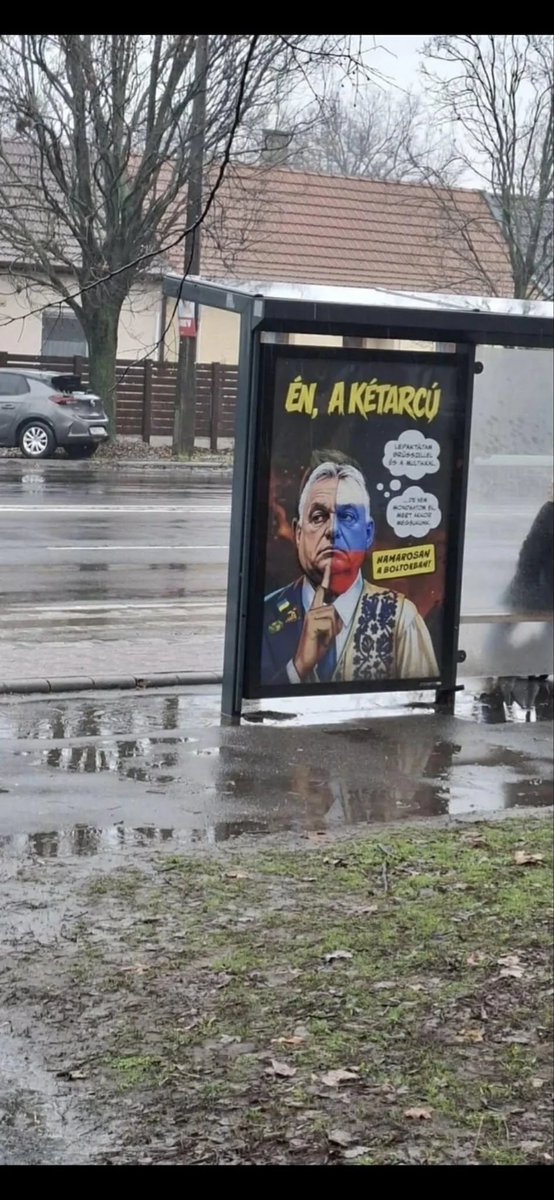 Zoltán tweet media