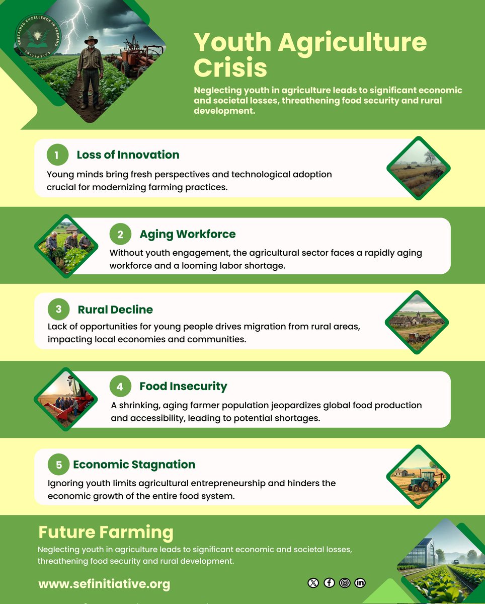 EliteFarming's tweet photo. We’re losing something critical.

And most people don’t see it yet.

This is how small neglect turns into global risk:

When young people are ignored in agriculture, the damage doesn’t show up immediately.

But it builds.

Quietly. 🧵...

#FutureOfFood 
#FoodSecurity https://t.co/UgrH0Z8pUt