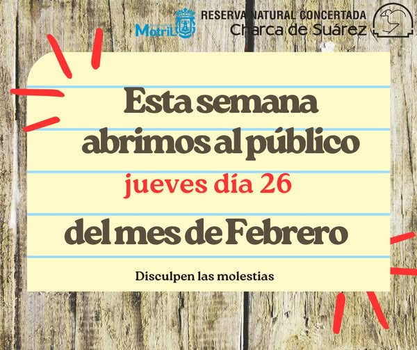 Motril Digital (@motrildigital) on Twitter photo 