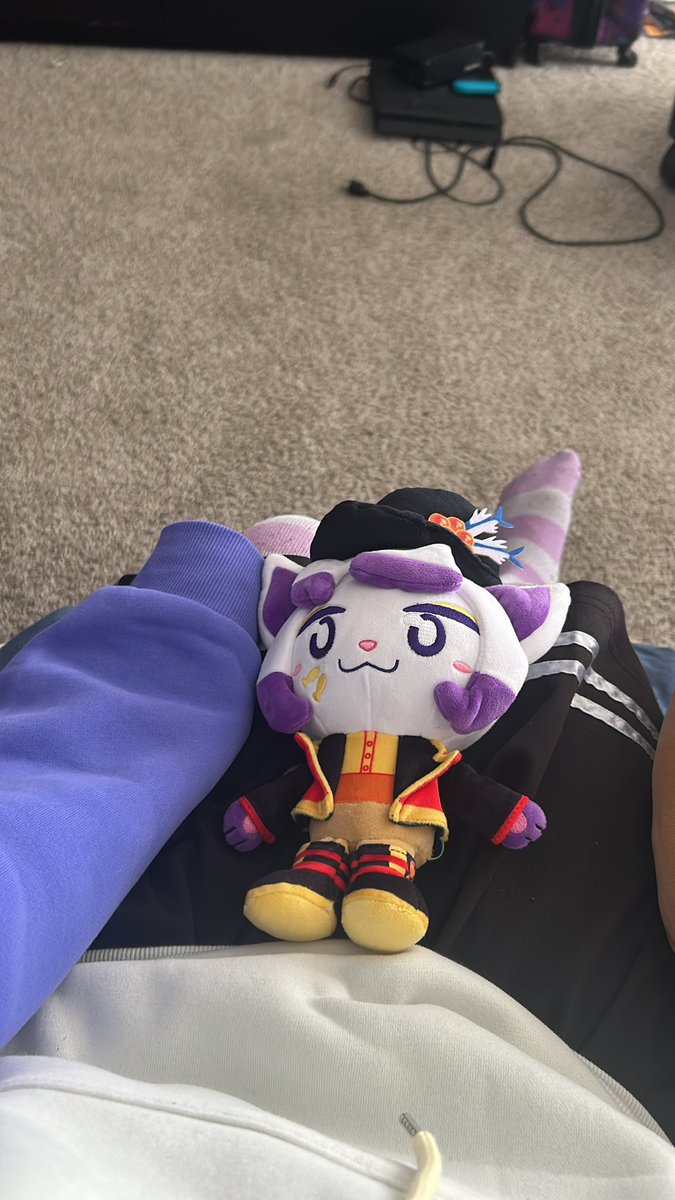 koi the cat tweet media